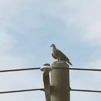 画像310